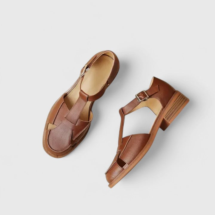 Brown / AU 11