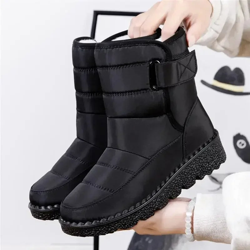 Black / AU 12
